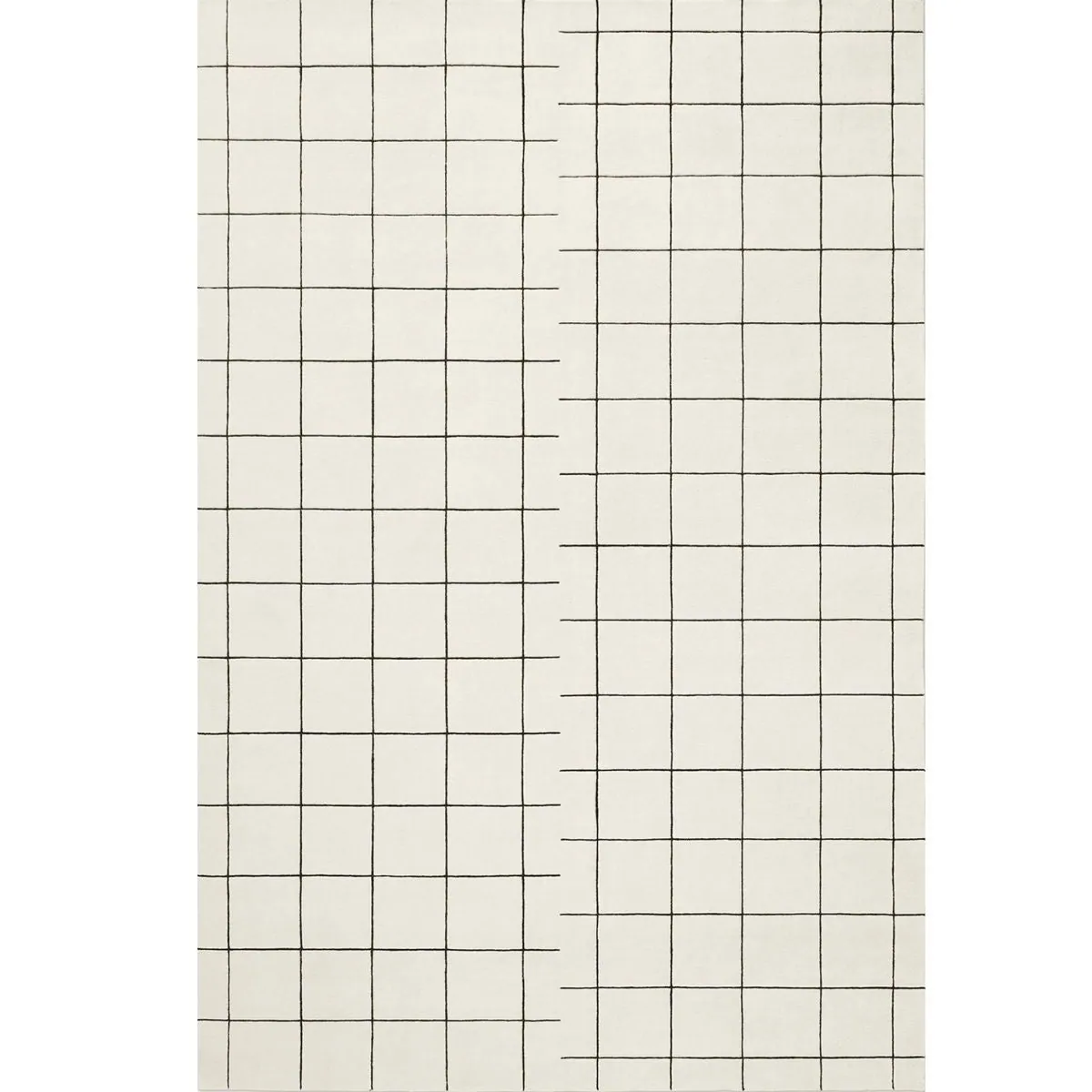 Fine Grid