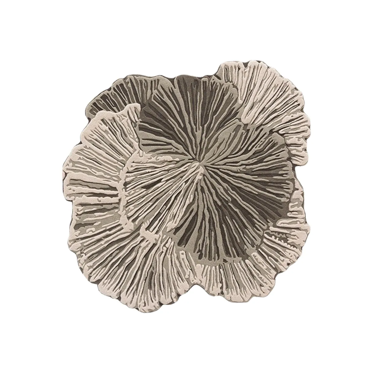 Scallop Edge